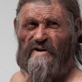 5300 aastat tagasi tapetud jäämehe kõhubakter heidab valgust iidsele sisserändele