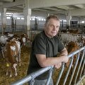 Беспрецедентная ситуация: цена на молоко падает, но один эстонский концерн платит производителям на 20% больше, чем другой