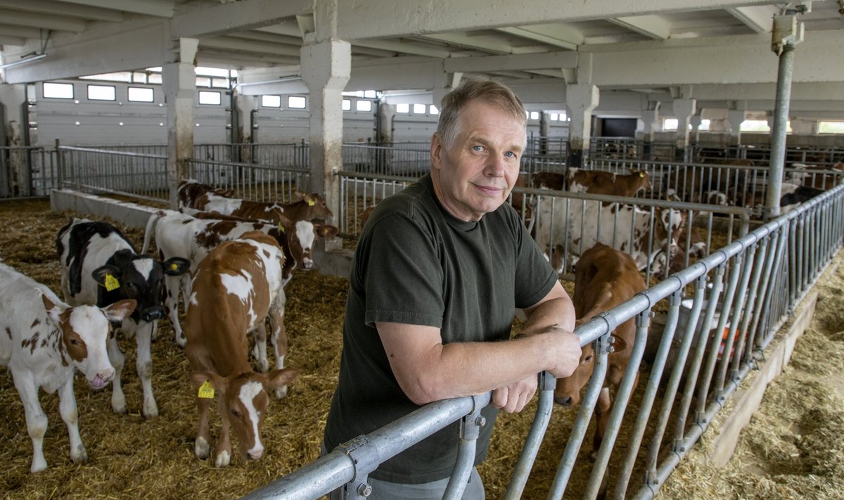 Piimatootja Tõnu Vreimann räägib, et teda pole toorpiima hinna langus veel puudutanud, kuna müüb piima tööstusele, kes hindu pole langetanud.
