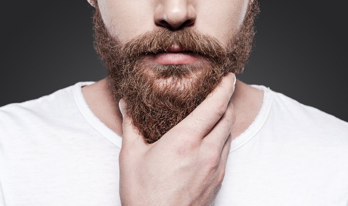 Touching,His,Perfect,Beard.,Close-up,Of,Young,Bearded,Man,Touching