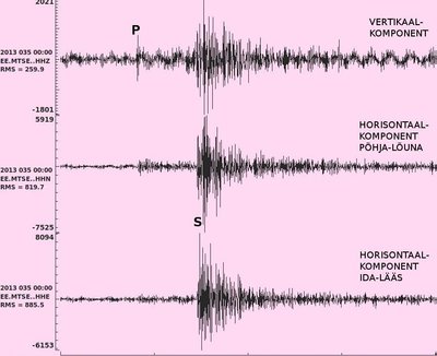 Haapsalu maavärina seismogramm Matsalu jaamas. Seismogrammidel on märgitud pikilaine (P) ja ristlaine (S) saabumisajad. Filter on 1,5-20 Hz ja lõike pikkus 20 sekundit.