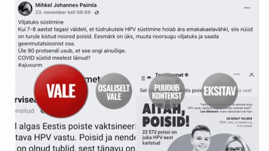 FAKTIKONTROLL | Kas poisse vaktsineeritakse HPV vastu selleks, et muuta noorsugu viljatuks? Loomulikult mitte