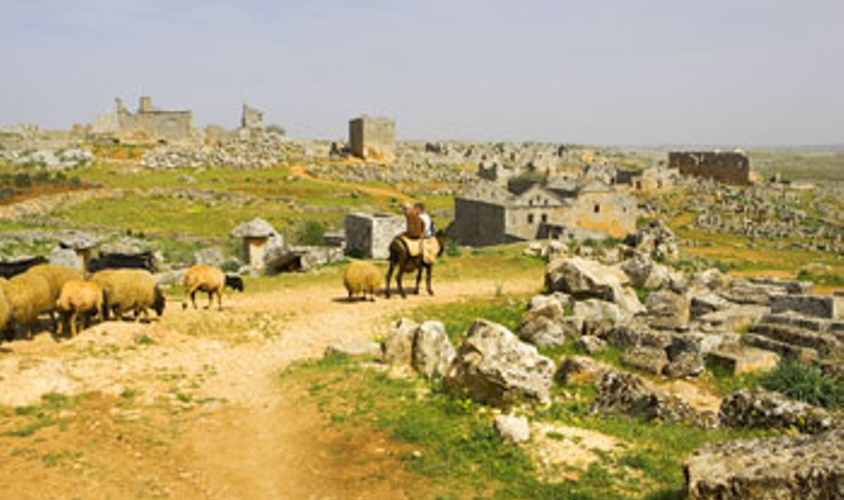 KADUNUD MAAILMA VAREMETEL: Nimetu surnud linn Süüria kivikõrbes. Mart Trummal