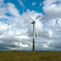 Teadlase sõnul reostab tuuleenergia loodust