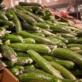 Illegaalsed kurgid: Venemaa üritab köögivilju salaja Leedus müüki paisata