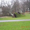 FOTOD: Sindis tõmbas tuul puid koos juurtega maa seest välja ja murdis pooleks