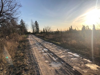 Niisugune nägi Hosby külatee välja, enne kui külaelanikud selle parandamise ette võtsid.