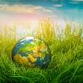 Earth Day: Täna tähistatakse ülemaailmset Maa päeva pööramaks tähelepanu keskkonnaprobleemidele