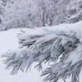 Kevad missugune! Uuel nädalal on Soomes kohati 25 külmakraadi