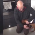 VIDEO | Koer saab Afganistanist naasnud omanikku nähes täieliku šoki