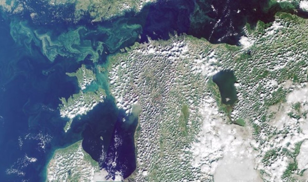 Eilne satelliidipilt: Sinivetikad on jõudnud Lääne-Eesti randadesse.