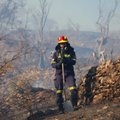 VIDEO ja FOTOD | Kreeka võitleb ulatuslike metsatulekahjudega