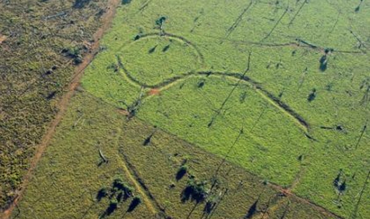 Kraav-ringid Amazonase põlismetsas. Foto: Edison Caetano