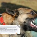 VIDEO | Tragöödia Lasnamäel: suukorvi ja rihmata koer tappis väikese spitsi, tegu polnud üksikjuhtumiga