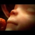 Jalustrabav VIDEO: Loote arenemine emaüsas — üheksa kuud neljas minutis