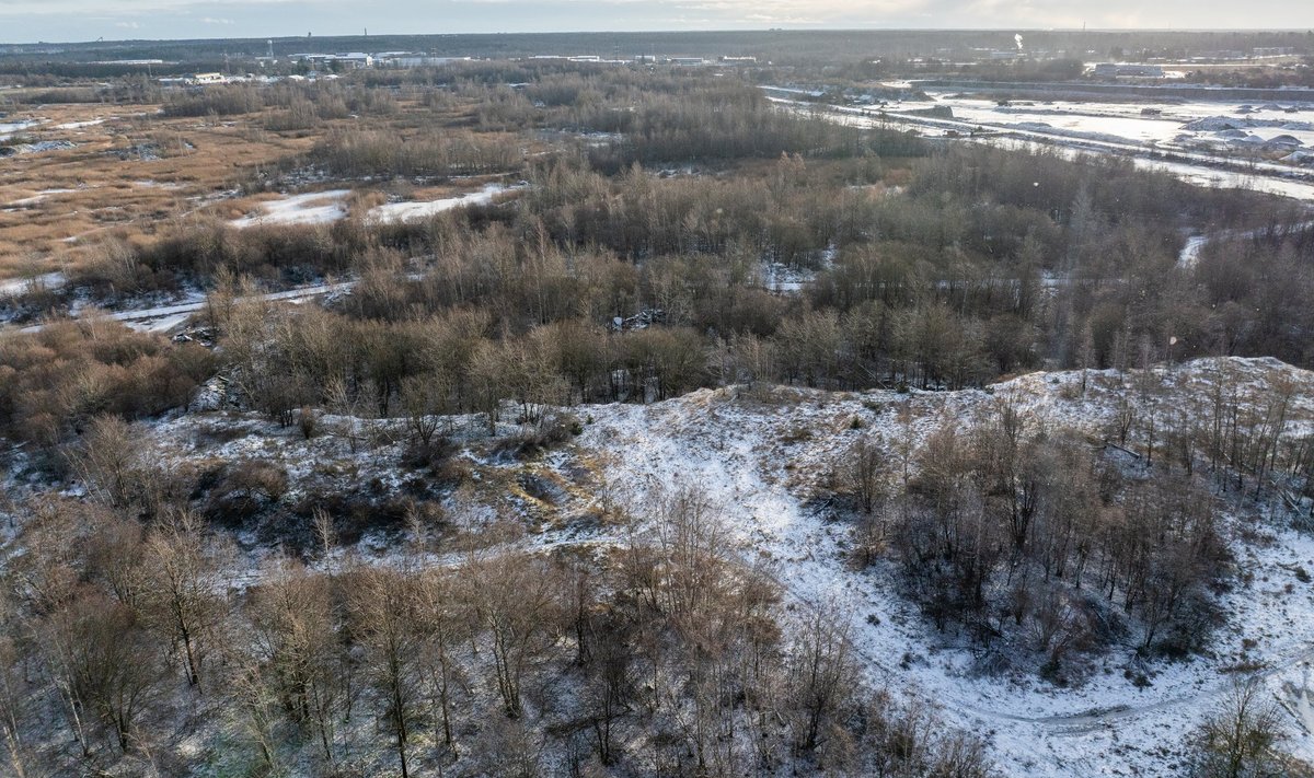 Vana karjääri asemel laiub korrastamata ala asemel kõnnumaa