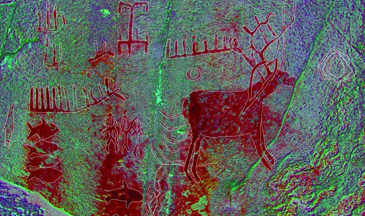 Hisingeni kaljult leitud motiivid on erakordselt hästi säilinud.