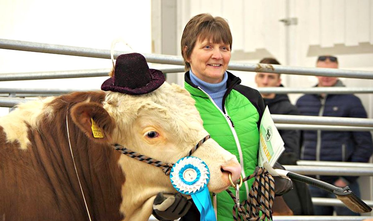 Mõne aasta eest sai Piira OÜ loomakasvatusjuht Maire Järv pulli Ants nii taltsaks, et see nautis konkursil esinemist, kaabu peas.