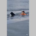 ВИДЕО | Мужчина прыгнул в заледеневшее озеро, чтобы спасти чужую собаку