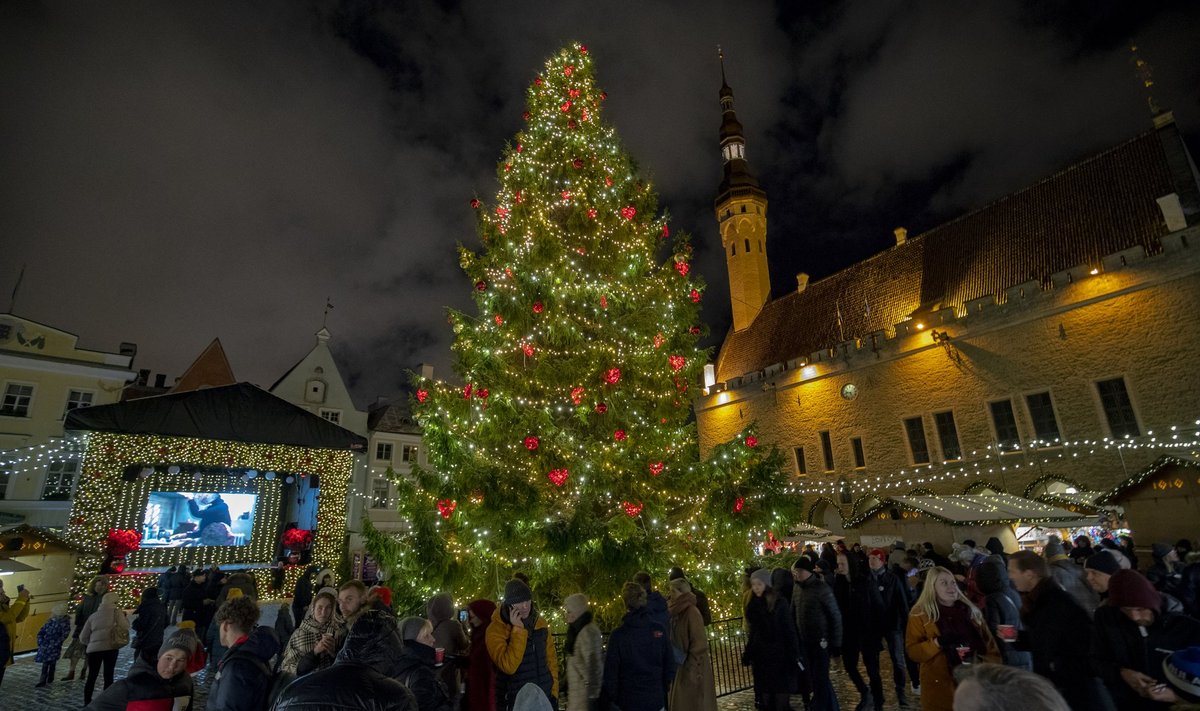 Tallinna 2019. aasta jõulukuusk, mis pääses Euroopa ilusaimate sekka.