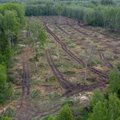 Valitsus plaanib keskkonnapoliitikas koomale tõmmata. „Tundub, nagu juhid poleks lõpuni aru saanud, mida nad teevad“