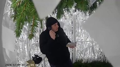 ВИДЕО | Эстонские туристы разгромили рождественскую елку в Каунасе 