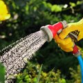 ЭКСПЕРТ | Как экономно потреблять воду с приходом летнего тепла