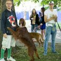 В Пирита состоится благотворительное шествие домашних животных