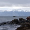 Россия намерена расширить территориальные границы за счет океана