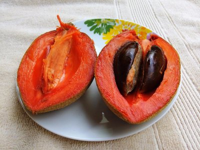 Mamey Sapote