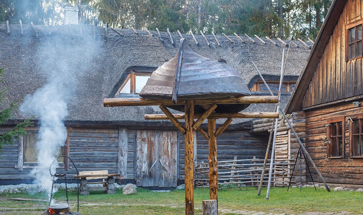 Viikingite küla (Foto: viikingitekyla.ee)