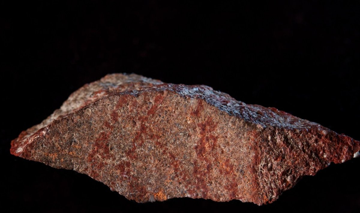 Blombose koopast leitud joonistusega kivitükk (Foto: Craig Foster)