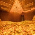 ФОТО: В Литве открылась первая в мире янтарная баня