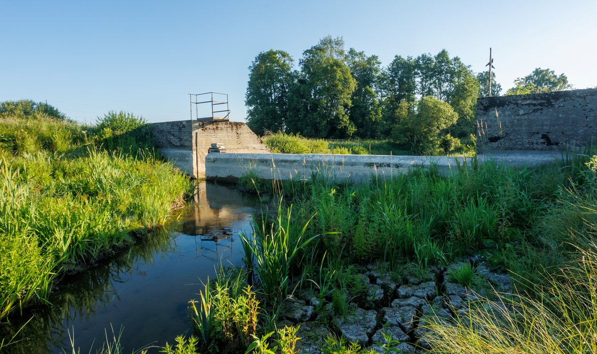 Ruila pais - foto on tehtud tänavu suvel, enne tööde algust. Paisjärves ei ole enam vett ja pärast paisu lammutamist taastatakse Vasalemma jõesäng