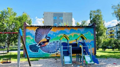 Помогите украсить город! Пыхья-Таллинн ждет идеи от уличных художников