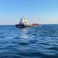 Украина прорвала российскую морскую блокаду. Первое судно с зерном уже в Босфоре