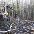 Sündmused Eesti-Vene piiril: minister sattus tunnistajaks loata metsaraiele