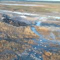 Saame tuttavaks: aasta kalandusteo nominendid