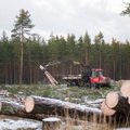 Ühistuga liitumine soodustab tõhusamat metsakasutust