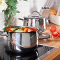 Head ideed, kuidas köögist tulevatest ebameeldivatest toidulõhnadest kiiresti lahti saada