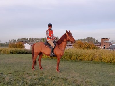 Meriin sai mõned aastad tagasi ka noorte hobuste MM-il 21. koha.