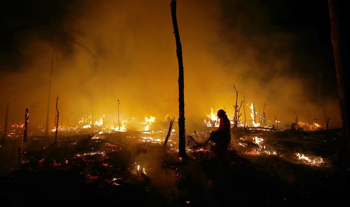 Amazonases toimusid tänavu oktoobris metsapõlengud. NASA teadlased on hoiatanud, et kui maailm soojenemist jätkab, muutuvad tulekahjud piirkonnas sagedasemaks.