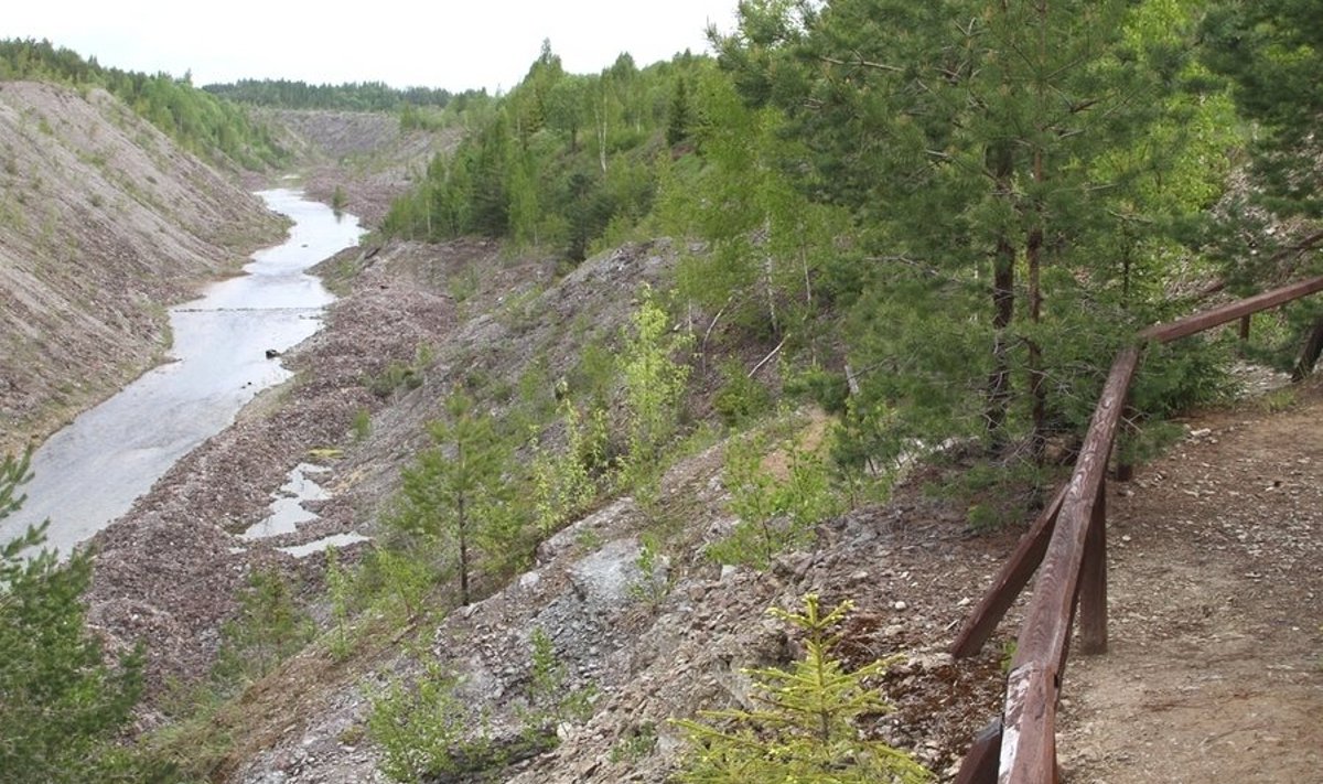 Aidu karjäär (Foto: Alar Süda, RMK)