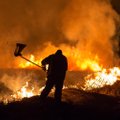 DELFI VIDEO JA FOTOD: Tartu kandis tegutseb sarikulupõletaja?