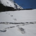 India armee väitis, et leidis lumeinimese jalajäljed