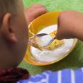 Горсобрание Таллинна утвердило бесплатное питание в детских садах
