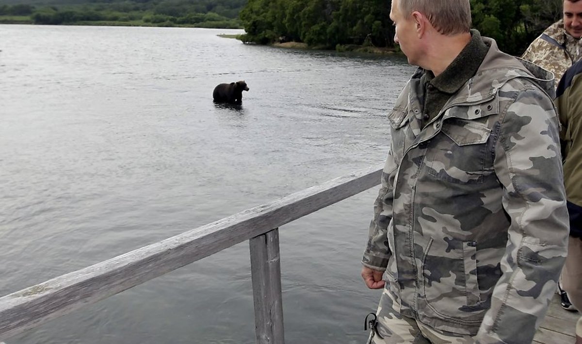 Putin ja karu