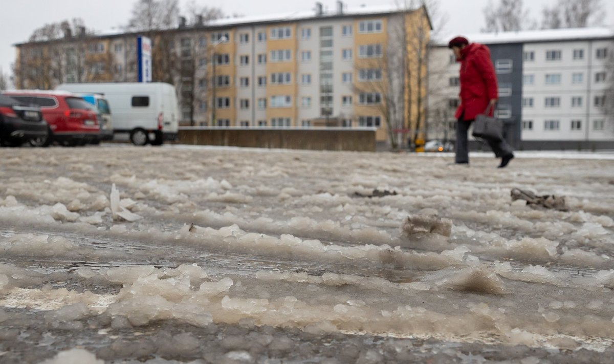 Оттепель в Тарту.