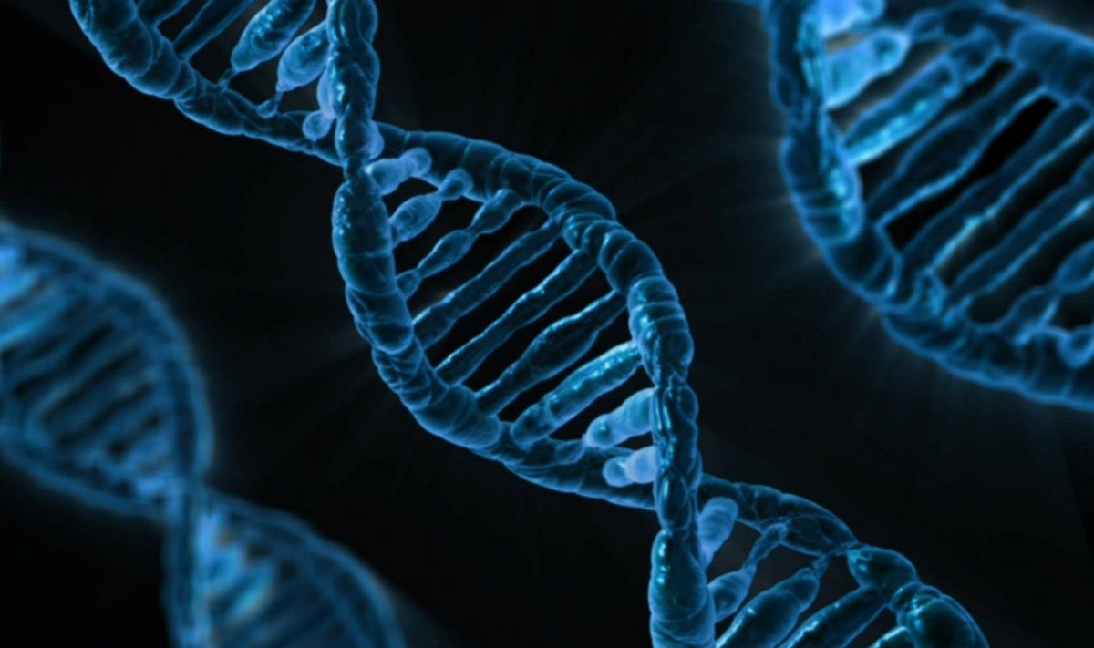 Inimese DNA (Foto: Pixabay / PublicDomainPictures)