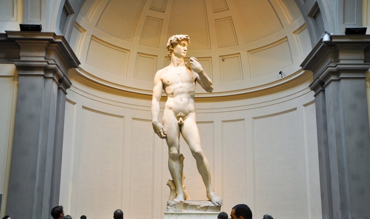 NÕRGEMATE POOLEL: Michelangelo "Taavet".